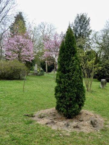 Neue Bäume für den Golzheimer Friedhof gespendet !